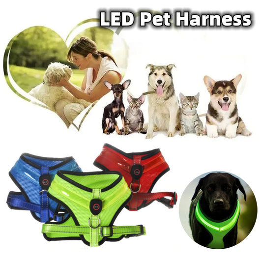 LED Dog Harness, USB Rechargeable Light Up Dog Harness Vest, 2 Illuminate Modes Glow in The Dark Dog Harness, Adjustable Lighted Dog Harness Light for Night Walking Safety