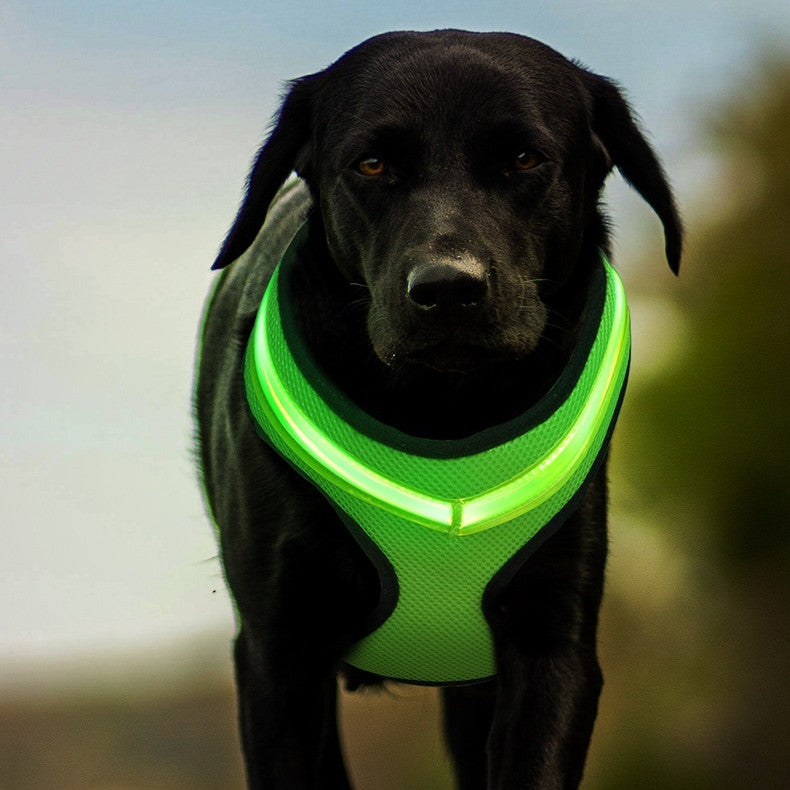 LED Dog Harness, USB Rechargeable Light Up Dog Harness Vest, 2 Illuminate Modes Glow in The Dark Dog Harness, Adjustable Lighted Dog Harness Light for Night Walking Safety