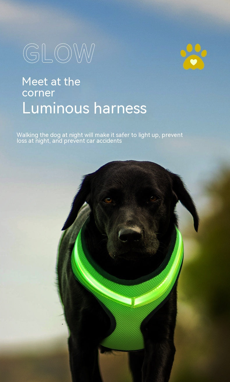 LED Dog Harness, USB Rechargeable Light Up Dog Harness Vest, 2 Illuminate Modes Glow in The Dark Dog Harness, Adjustable Lighted Dog Harness Light for Night Walking Safety